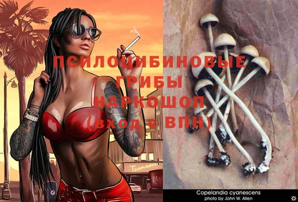 гидра Балабаново